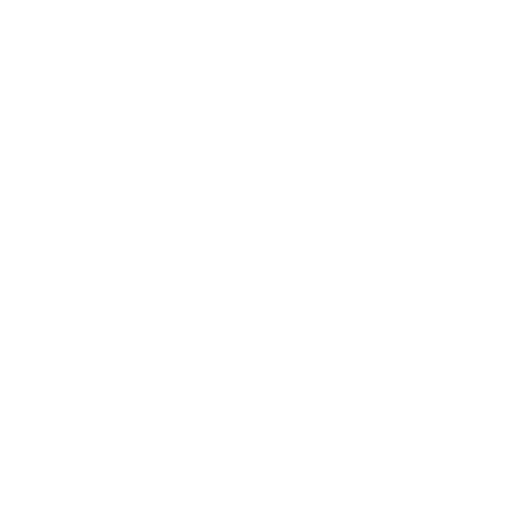 Rickyslash Logo Transparent